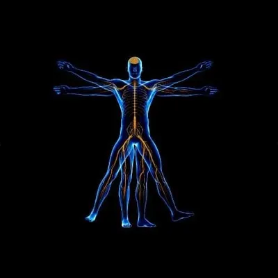 HolisticBart - Bartosz Abkowicz - Gabinet Rehabilitacji, Fizjoterapii i Osteopatii, NDT-BOBATH KALISZ